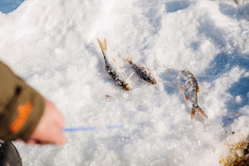 Catch fisherman, fish on ice.