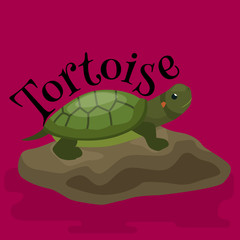 tortoise pet for home, reptile animal vector illustration