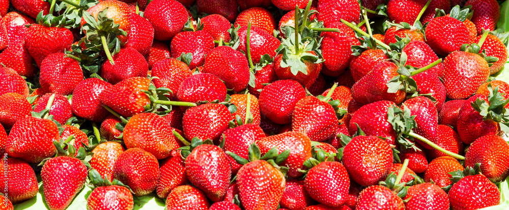 Wall mural Fresh Summer Strawberries