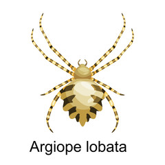 Spiders cartoon set, dangerous insects collection