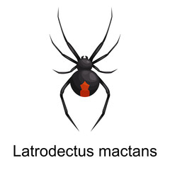 Spiders cartoon set, dangerous insects collection