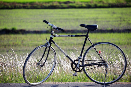 vintage bicycle with rural field background.