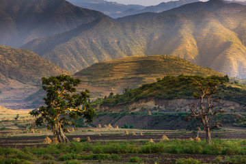 Landscape between Dessie and Lake Hayq