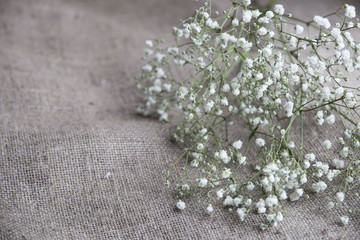 baby's-breath flowers on burlap