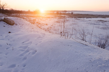 Winter field landscape with the frosty trees lit by soft sunset light - snowy landscape scene in warm tones with snow covered field and trees covered with frost.
