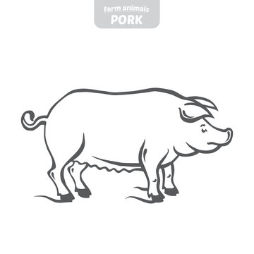 Pig hand-drawn vector illustration.