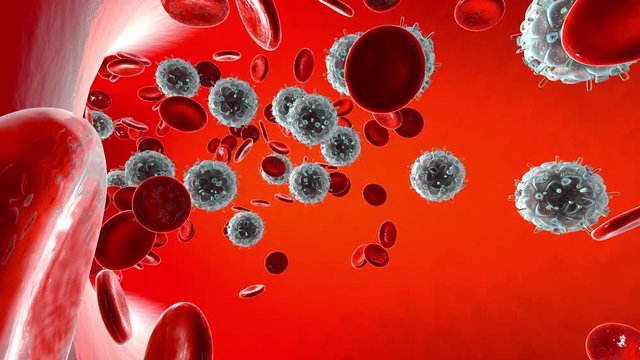 Animation of the Aids causing HIV Virus flowing in the bloodstream.
