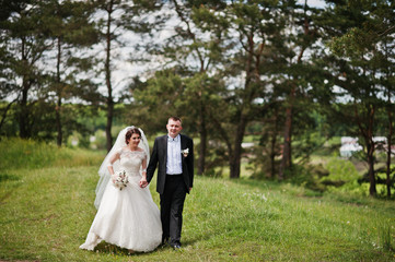 Obraz na płótnie Canvas Elegance wedding couple at their day background pine forest. Hap