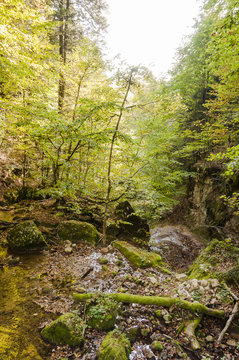Twann, Schlucht, Twannbachschlucht, Twannbach, Wald, Waldweg, Wanderweg, Steinbrocken, Moos, Herbst, Herbstlaub, Herbstwanderung, Jura, Schweiz