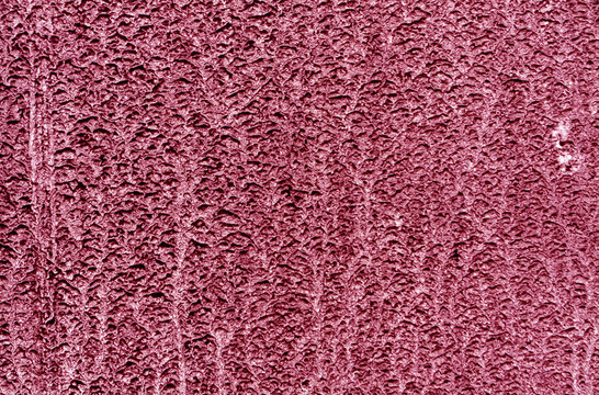 dirty pink car surface.