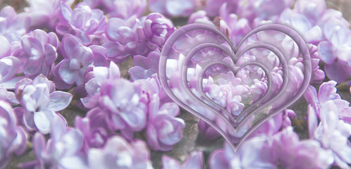 Fototapeta premium lilac flowers on a table