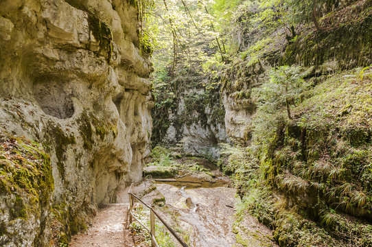 Twann, Twannbachschlucht, Schlucht, Weindorf, Twannberg, Wanderweg, Felsw&auml;nde, Naturweg, Herbst, Herbstwanderung, Jura, Schweiz
