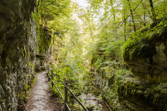 Twann, Schlucht, Twannbachschlucht, Wanderweg, Waldweg, Wald, Herbst, Moos, Herbstwanderung, Jura, Schweiz