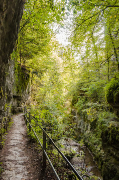 Twann, Twannbachschlucht, Schlucht, Twannberg, Wanderweg, Wald, Waldweg, Felswand, Moos, Herbstfarben, Herbst, Jura, 