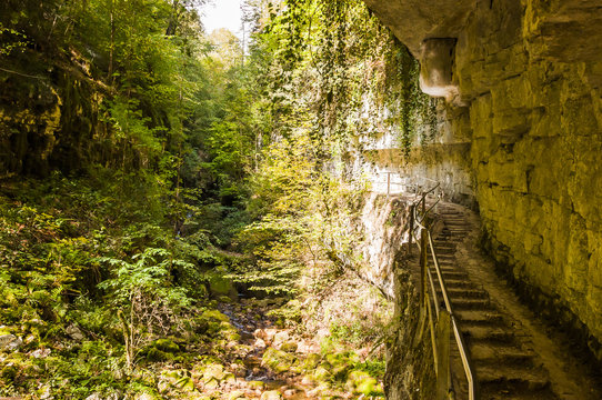 Twann, Twannbachschlucht, Schlucht, Felswand, Wald, Wanderweg, Steintreppe, Farn, Moos, Herbst, Herbstwanderung, Jura, Jurafelsen, Schweiz