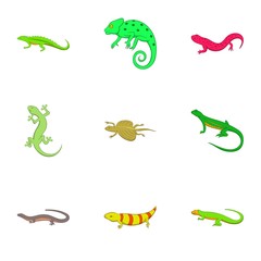 Fototapeta premium Amphibian icons set, cartoon style