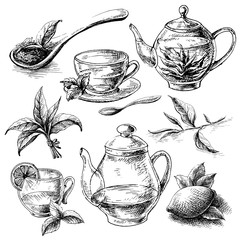tea collection elements in graphic style, hand-drawn vector illustration.