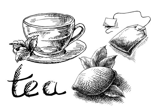Cup of tea and mint and tea bag in graphic style, hand-drawn vector illustration.