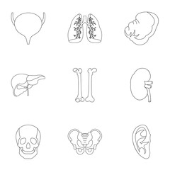 Bodies icons set, outline style