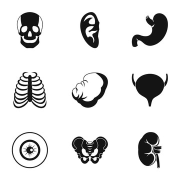 Human organs icons set, simple style