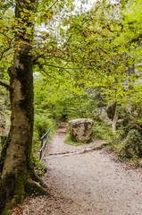 Twann, Twannbachschlucht, Wanderweg, Waldweg, Wald, Naturweg, Herbst, Herbstwanderung, Felsen, Jura, Schweiz