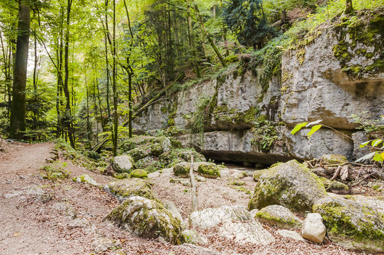 Twann, Twannbachschlucht, Schlucht, Wanderweg, Waldweg, Wald, Felswand, Felsen, Herbst, Herbstwanderung, Jura, Schweiz