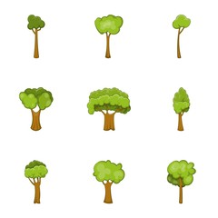 Trees of different shapes icons set, cartoon style