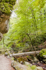 Twann, Twannbachschlucht, Schlucht, Jura, Wanderweg, Wald, Waldweg, Felswand, Brücke, Herbst, Herbstwanderung, Schweiz