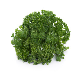 Fototapeta premium parsley isolated on a white background