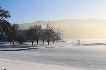 Winter, Alpen, Österreich, Winterlandschaft