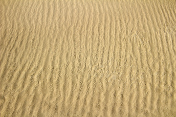 Fototapeta na wymiar Abstract background of sand. Sand waves.