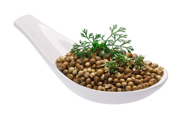 Spoon of coriander seeds, flowers, paths