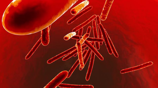 3D rendered animation of Tuberculosis bacterias infecting a body.
