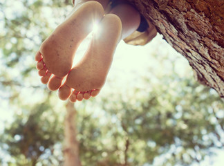 Sitting on the tree, free feet