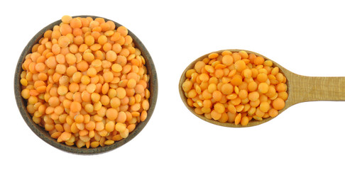 Lentils isolated