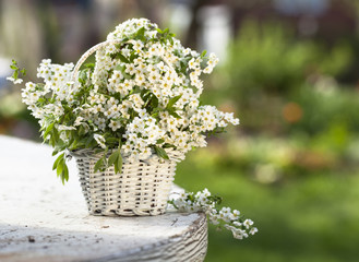  bouquet Spring wild cherry