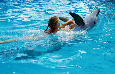 Naklejka premium Happy child and dolphins in blue water. Dolphin Assisted Therapy