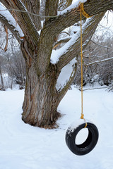 Tire Swing in Winter Snow Cold
