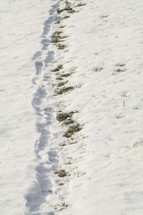 Human path in the snow.