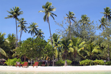 Fiji Island
