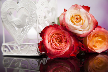 Love and cage, romantic vintage love background