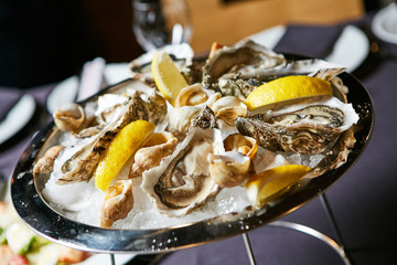 platter of fresh organic raw oysters on ice