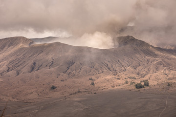 Fototapeta na wymiar Mount Bromo volcano during sunrise in East Java, Indonesia.