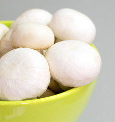 Healthy mushrooms