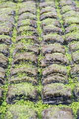 Baklava from Turkish cuisine