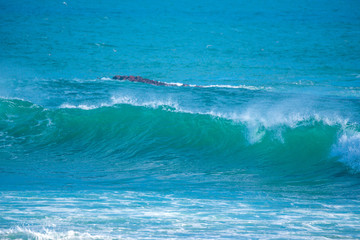 Obraz premium Beautiful sea wave