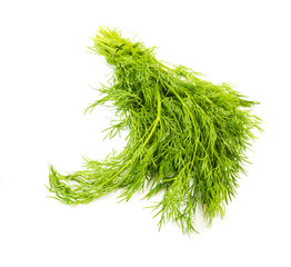 bunch fresh dill herb isolated on white background
