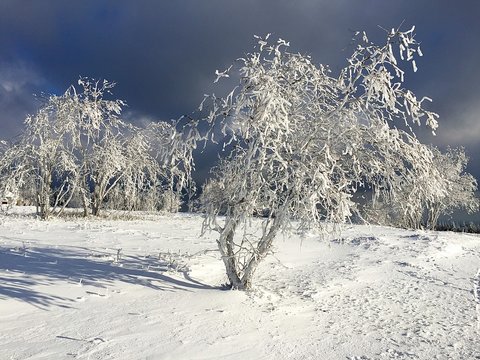Sauerland-Winter