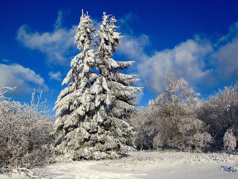 Winterzauber im Sauerland