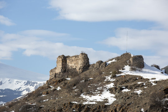 Posof catle in Posof district of Ardahan, Turkey